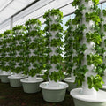 Titan Tower - Organic Aeroponic Planting Tower Vegetable Planting Pot Soilless Cultivation Equipment Garden Vegetable Hydroponic Tower System 12 and 13 layers