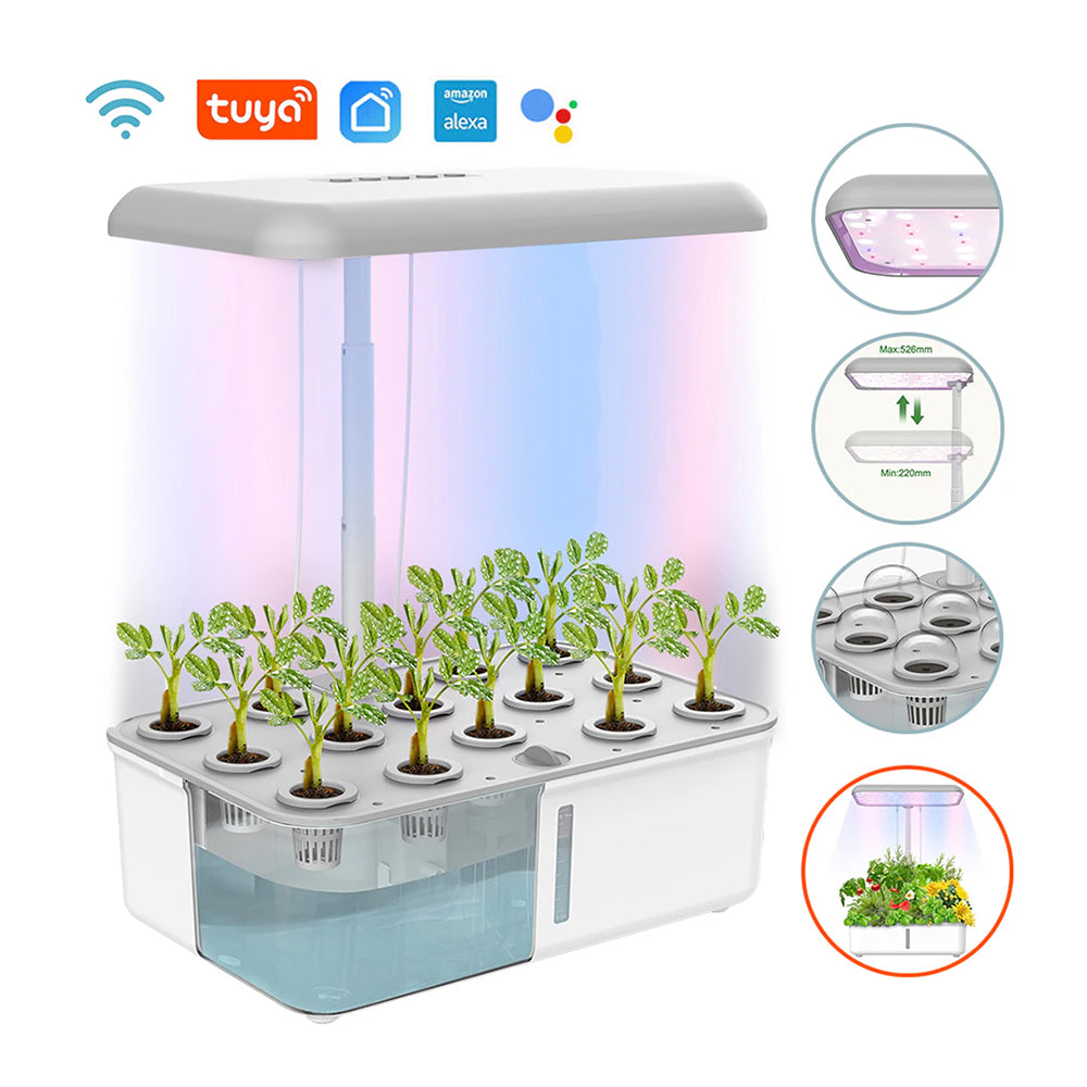 WiFi Garden 1 - Smart Hydroponic Instrument Indoor Flower and Plant APP Voice Control Planting Machine