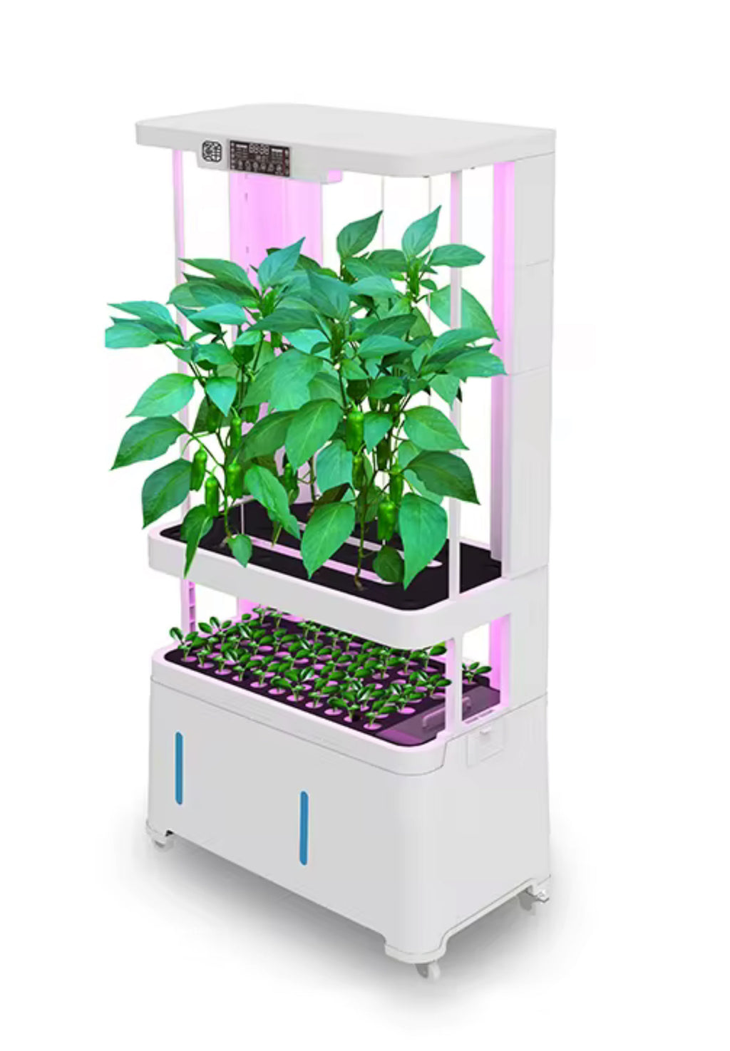 GrowHub 1 - Indoor intelligent Fruits and Vegetable growing machine