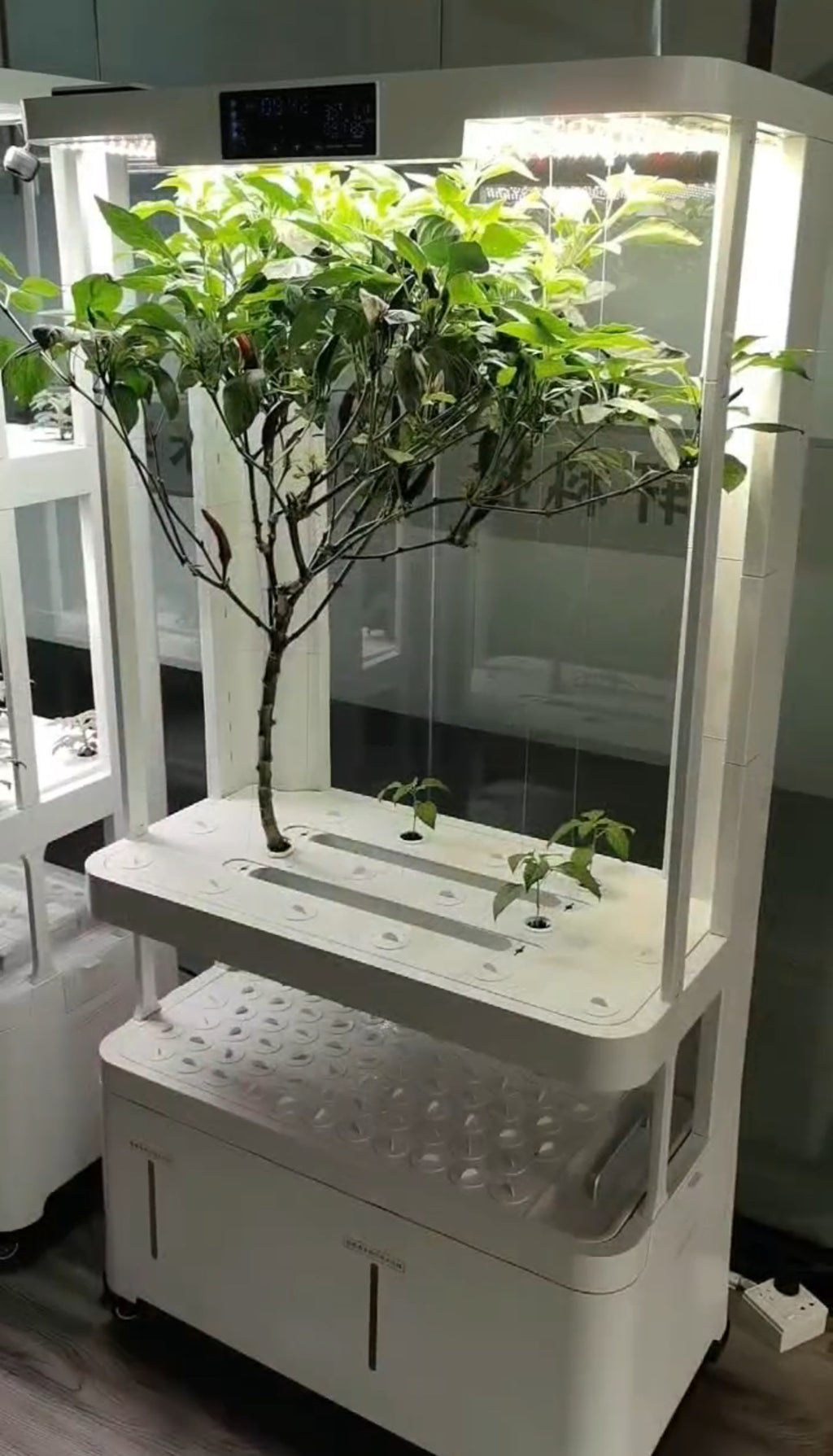 GrowHub 1 - Indoor intelligent Fruits and Vegetable growing machine