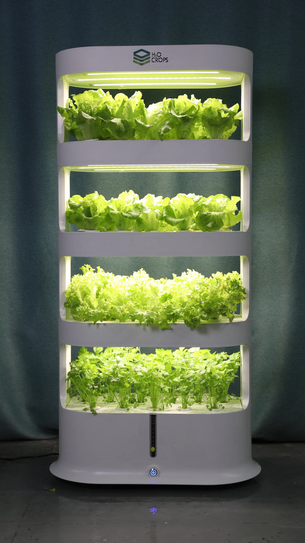GrowNow 1 - 2025 Indoor Hydroponic System Farm DIY Growth Kit for Home