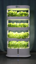 GrowNow 1 - 2025 Indoor Hydroponic System Farm DIY Growth Kit for Home