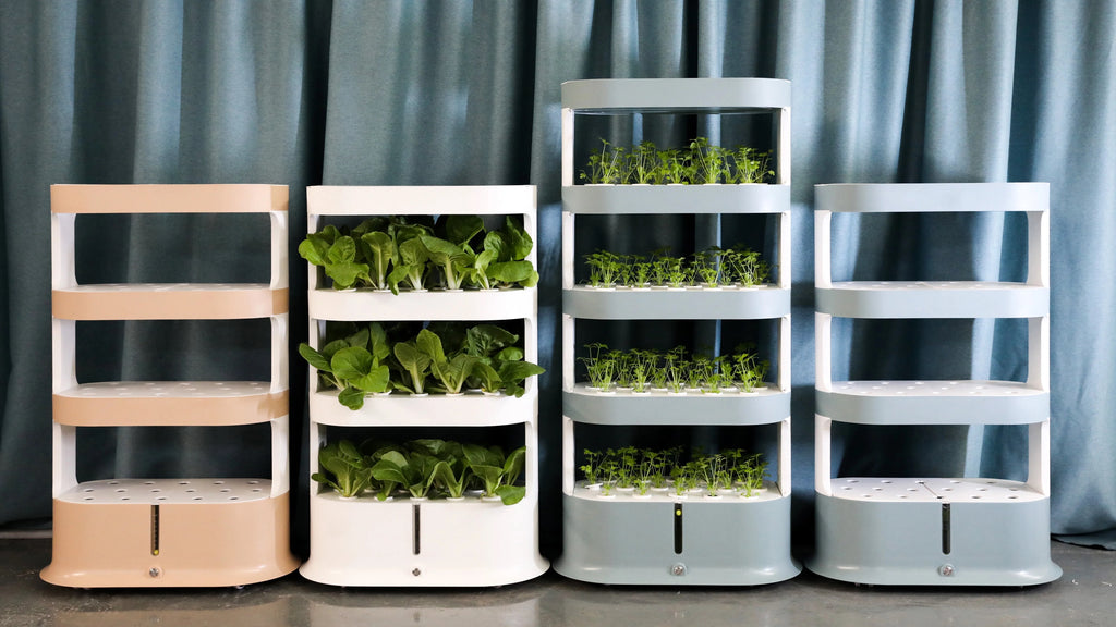 GrowNow 1 - 2025 Indoor Hydroponic System Farm DIY Growth Kit for Home