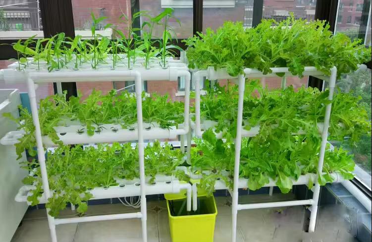 NFT Indoor Greenhouse Hydroponic Grow System Vertical Plant Lettuce Strawberry 108 Holes