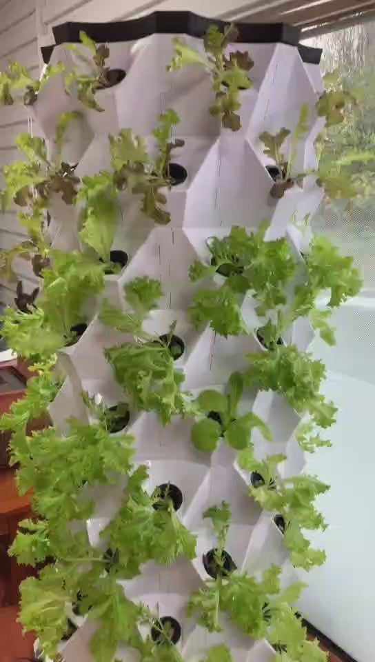 Pineapple Tower - 2025 New Design of Indoor and Outdoor Multi-layer Hydroponic Tower Soilless Cultivation Irrigation System