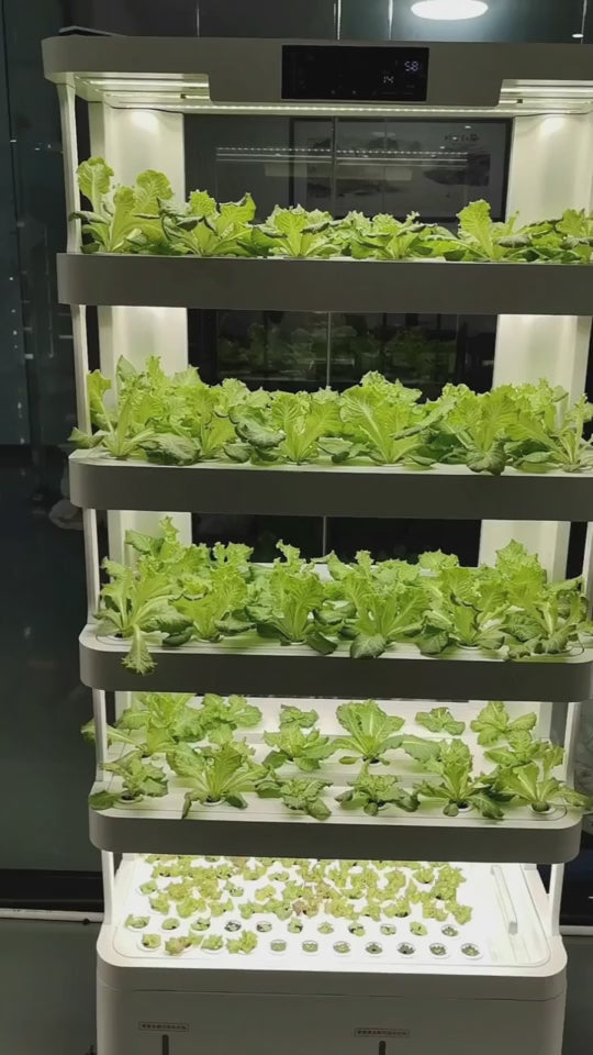 GrowHub 2 - Indoor Intelligent Small Mobile Hydroponic Vegetable Growing System for Greenhouse