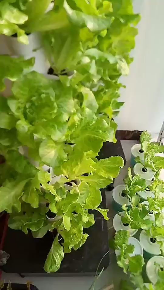 Mini Hydroponics Tower - 45 Holes Vertical Growing Systems Hydroponic Towers for Strawberry Tomato Lettuce Cabbage Vertical Tower Hydroponic Outdoor