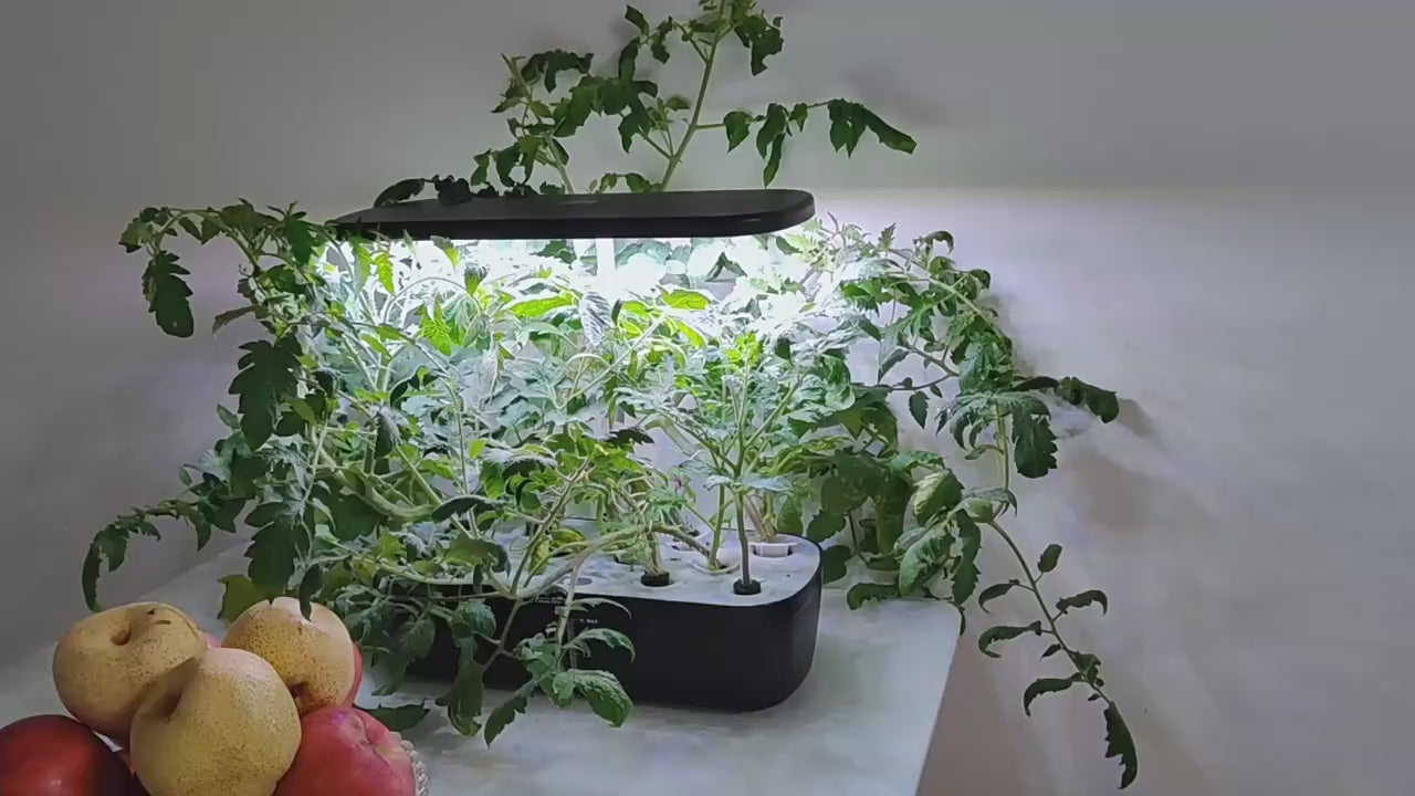 Wi-Fi Garden 2 - Smart Hydroponics Growing Systems Plant Seed Growing Smart Plant Growth System With Plant Growth Light